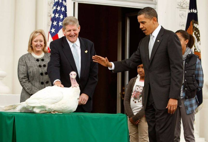 Obama concede la grazia presidenziale al tacchino "Courage", nel 2011. © Alex Wong/Getty Images